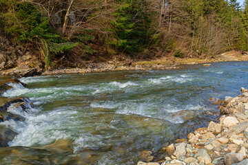 Wall Mural -  River in Carpathian Mountains, Ukraine.