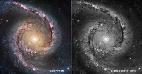 Wall Mural - color and black & white side by side comparisons. galaxy ncg 1566. elements of this picture furnishe