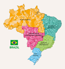 Wall Mural - Brazil states and municipalities detailed vector map colored by regions