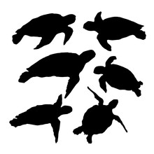 Set Of Sea Turtles Silhouettes. Vector Illustration.