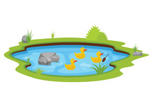 Three Yellow Ducks Swimming In The Pond Vector Illustration. Duck Cartoon Character