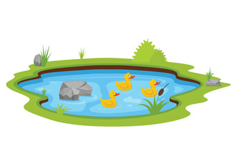 three yellow ducks swimming in the pond vector illustration. duck cartoon character