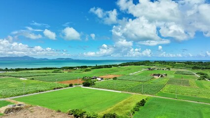 Poster - 南国の離島　空撮
