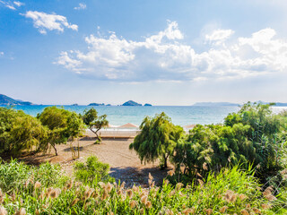 Wall Mural - Sandy beach with trees on a sunny day of a vacation