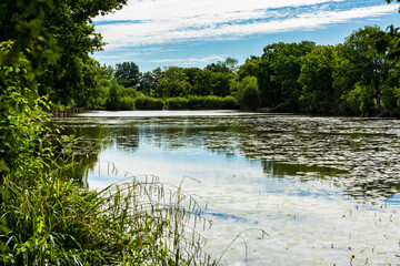 One of the many lakes in Haysden Park in Tonbridge, Kent, England