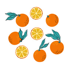 Wall Mural - Tropical set of oranges and circle orange slices. Hand drawn citrus orange with leaves isolated on white background. for fabric, drawing labels, print, wallpaper of children's room, fruit background