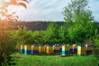 Eco-friendly apiary. An apiary where ecologically clean honey and other beekeeping products are obtained. Advantages of polyurethane hives. Top views.