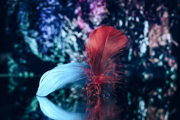 Aufkleber - Beautiful Bird feathers on a bokeh background.  Pattern background for design texture.  Macro view photography.
