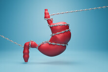 Stomach Pain Concept. Human Stomach With  Barbed Wire.  3D Rendering