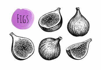 Wall Mural - fig fruits set.