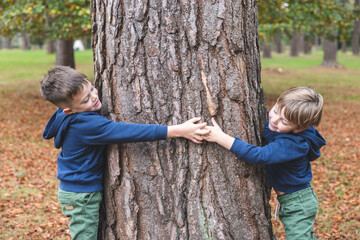 two little brothers boys hugging a tree in the wood and smiling