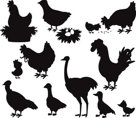 Poster - Cartoon farm birds cute chick hen rooster chicken goose duck turkey isolated Vectors Silhouettes