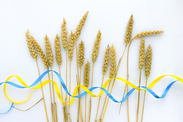 Poster - Wheat spikelets and ribbons in colors of Ukrainian flag on light background