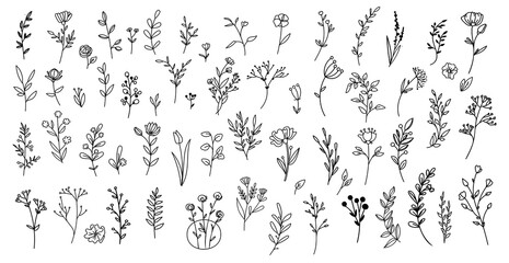 Wall Mural - Set of simple doodles of flowers, hand drawn branches, leaves icon