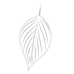 Sticker - tree leaf sketch on white background outline isolated, vector
