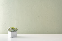 Table With Succulent Plant In Flowerpot Agianst Bright Pastel Wall.	
