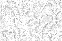 Topography Map On White Background. Contour Line Abstract Terrain Relief Texture. Geographic Wavy Landscape. Vector Illustration.