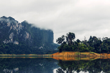 Canvas Print - rain forest