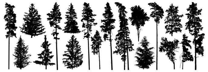 Wall Mural - Set of forest trees. Silhouette of pines, spruces, deciduous trees. Vector illustration