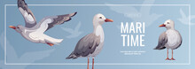 Banner Design With Seagulls. Maritime, Sea Coast, Marine Life, Nautical Concept. Vector Illustration. Flyer, Cover, Banner Template.