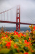 Fog over Golden Gate bridge and bright flowers with in San Francisco, California
