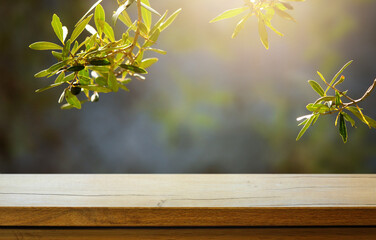 Wall Mural - Art Empty wooden deck table on sunny olive garden blurred background