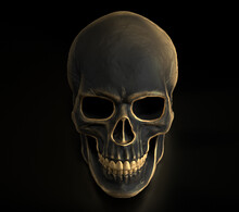 Black Skull With Gold Reflections. Image Of Death. Black Skeleton With Gold Lines
