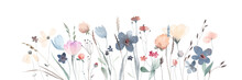 Summer Meadow. Cute Watercolor Flowers Horizontal Border Isolated On White Background. Illustration For Card, Border, Banner Or Your Other Design.