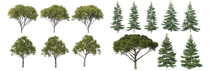 Pine trees and trees with a white background