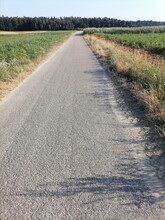Road In The Field