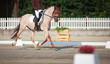 Dressage pony dun in the morning light with rider at a trot in the suspension phase photographed diagonally from the front..