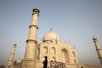 Wall Mural - The Taj Mahal at dawn