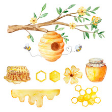 Watercolor Honey Set, Beehive, Honeycombs, Honey And Bees