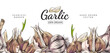 Seamless border with hand drawn colorful garlic sketch style