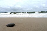 Fototapeta Kamienie - kamień plaża i fale