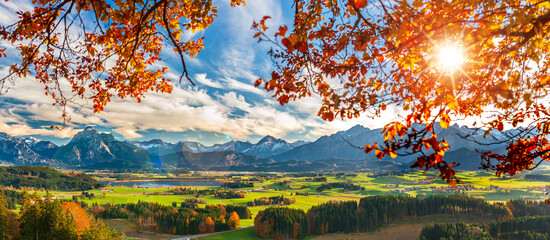 panoramic landscape at autumn with tree and mountain