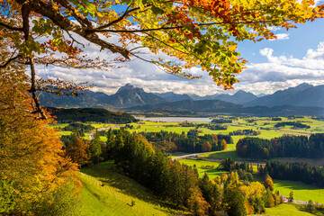 Poster - panoramic landscape at autumn with tree and mountain