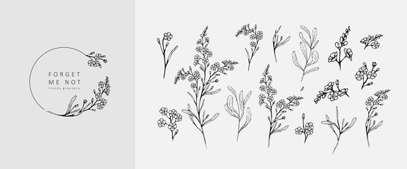 Wall Mural - set of luxury flowers and logo. trendy botanical elements. hand drawn line leaves branches and bloom