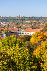 Wall Mural - Cityscape view with autumn colors