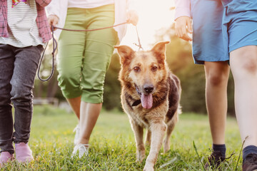 Children walking with a dog in nature. Boy and girl with a pet outdoors in summer