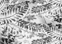Watercolor Branches On Black White