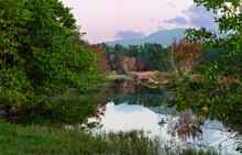 Calm Tropical River Running Through A Field With Reflections On A Quiet Morning In Trinidad And Tobago