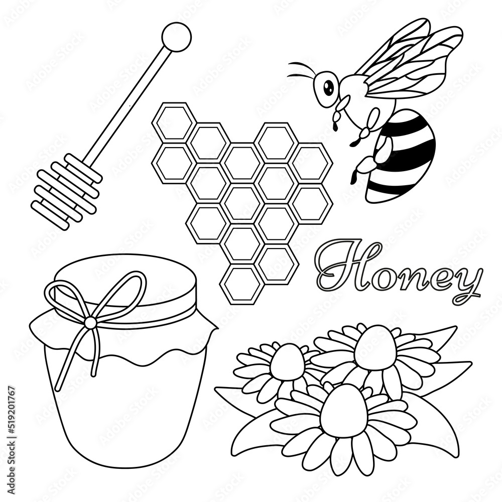 Vector honey element doodle set with honey, honeycomb, flying bee, chamomile flowers, flowing liquid on a stick, Honey Jar. Organic Products for Logo. Outline cute cartoon illustration