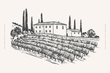 Villa With Cypress Trees And Vineyard In Engraving Style. Rural Landscape Of The Wine Region. Design Element For Wineries And Wine Shops. Vector Vintage Illustration.