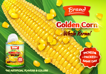 Canvas Print - Realistic Detailed 3d Organic Canned Maize and Golden Corn Cob Ads Banner Concept Poster Card. Vector illustration