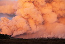 Pyrocumulus Cloud From A Wildfire, In The Santa Cruz Mountains, California, USA