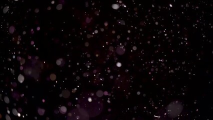 Wall Mural - real dust particles motion floating in the air. organic cinematic effects background macro slow moti