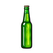 Green bottle of beer, soda or lemonade. Hand drawn vector illustration isolated on white.