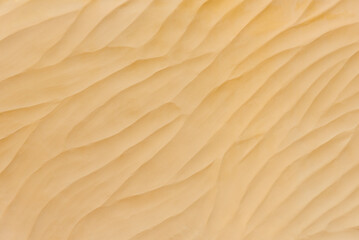  Texture of yellow sand. Natural background