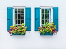 Windows With Flowers